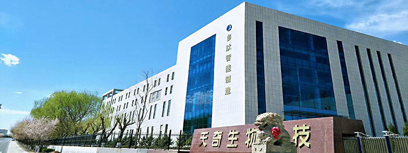 泗濱砭石標(biāo)準(zhǔn)刮痧板