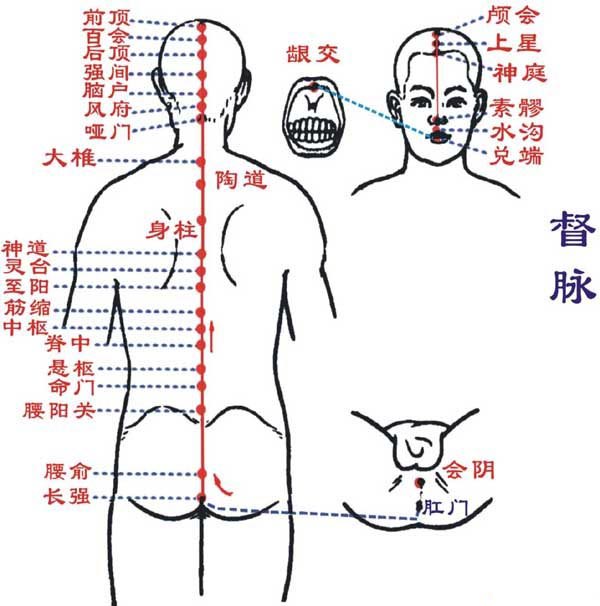 督脈穴位圖