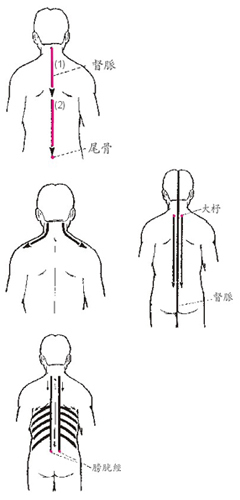 刮痧的順序