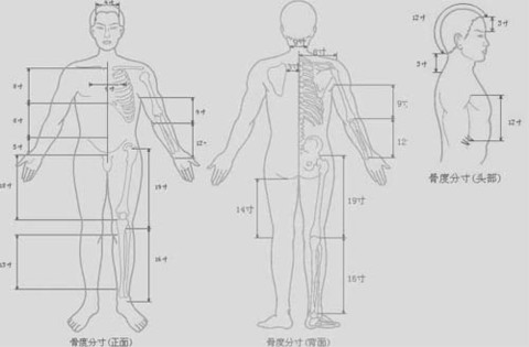 四肢穴位