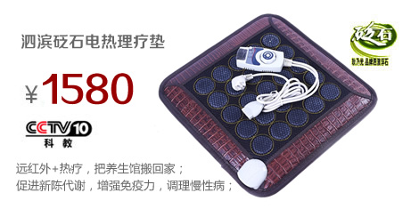 泗濱砭石小號電熱理療墊
